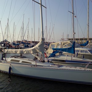 Sæby Havn fyldt med mange både